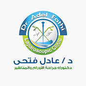 Dr. Adel Fathy - أ.د عادل فتحى