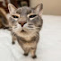 J7O_f35n7_c-channel-avatar-LOL Pet World