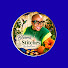 omm7RkN2LBg-channel-avatar-BloomAndStitchByAnnMarie