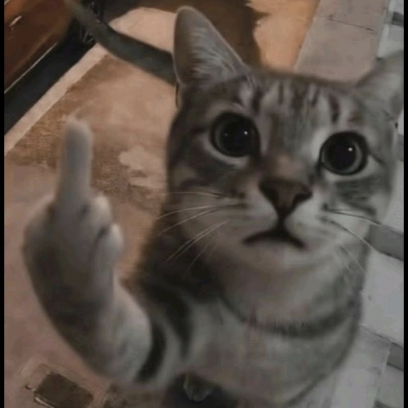 RoxYTB le SCAMEUR 