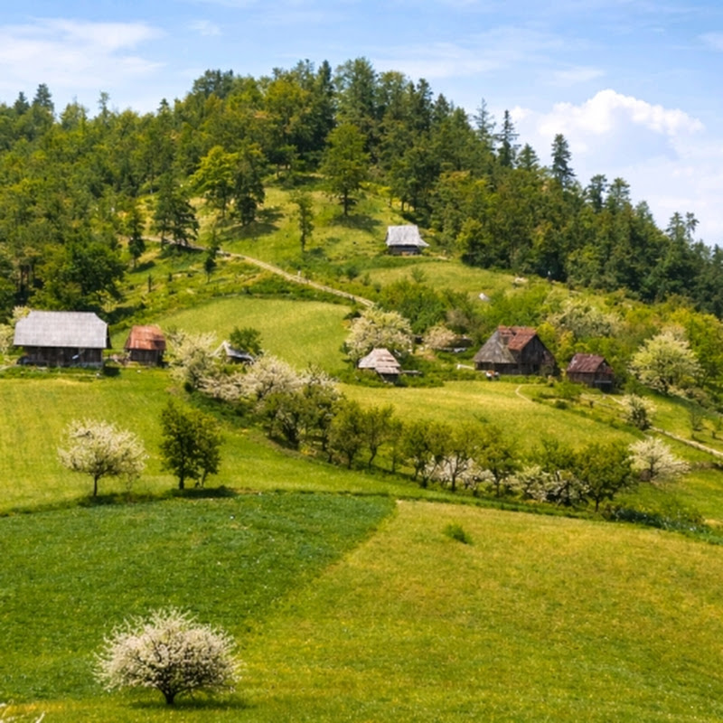 Cugcvang