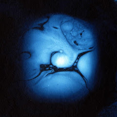 ASMR by Moses Hacmon