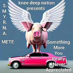 bigg mete