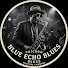 FOlsfTPZWUU-channel-avatar-Blue Echo Blues