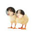 XspPGQul3Cc-channel-avatar-마냑
