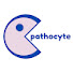 uGHeGkTwP50-channel-avatar-Pathocyte