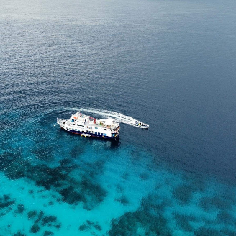 mydolphinliveaboard