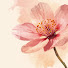 jFlZttfPlk0-channel-avatar-Flower 🌸- Truyện Audio