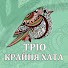 3oK-fdJHwSg-channel-avatar-lyubov fito