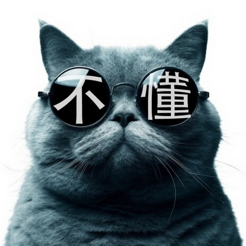 猫不懂088 Logo