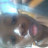 @HahdhehJehe Avatar