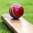 Rpcricketinfo
