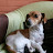 @maryneisabio2244 Avatar