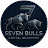 @sevenbullsinc