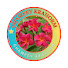KK-PLldNuIQ-channel-avatar-Champey Krahorm