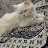 @اسامهسعد-ع3ز