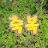 @생명살린축복말씀
