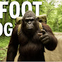  Bigfoot Hunter TV logo