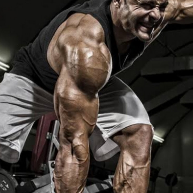 the fitness zone