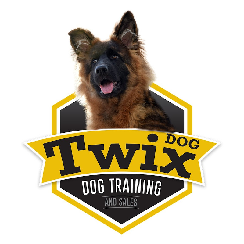 2xdog_trainer