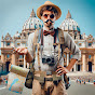 The Sarcastic Traveller's Guide Avatar