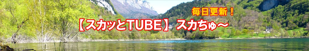 ã‚¹ã‚«ãƒƒã¨ï¼´ï¼µï¼¢ï¼¥ Avatar canale YouTube 