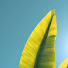 gNTwDfJ2zTw-channel-avatar-willtopaper