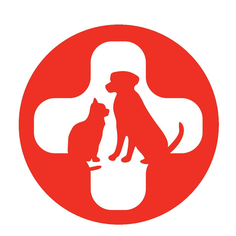 SPCA International