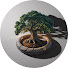 LgL2X45Saic-channel-avatar-Viver em Autossuficiência and America's Lost Drinks