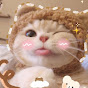 영화 요약하는 고양이