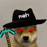 mdM3z-stGVQ-channel-avatar-meh