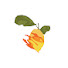 iKPvGdHO2Ys-channel-avatar-LEMONS ON FIRE®