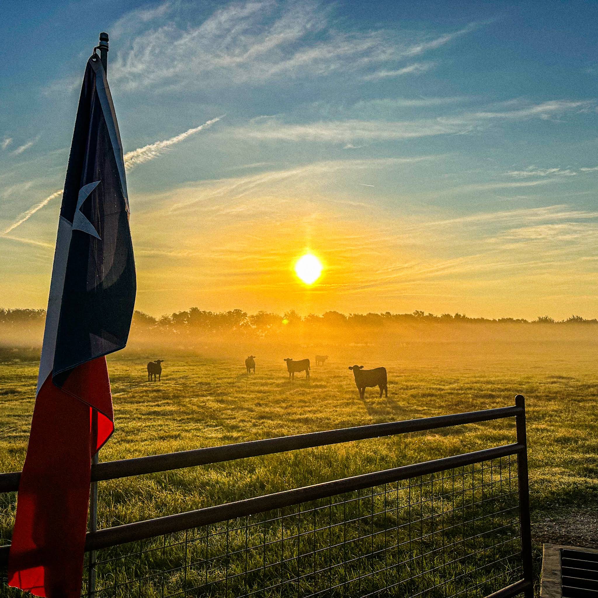 Post from Bar 7 Ranch