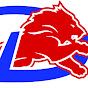DMS Basketball logo
