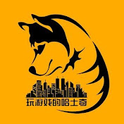 玩游戏的哈土奇