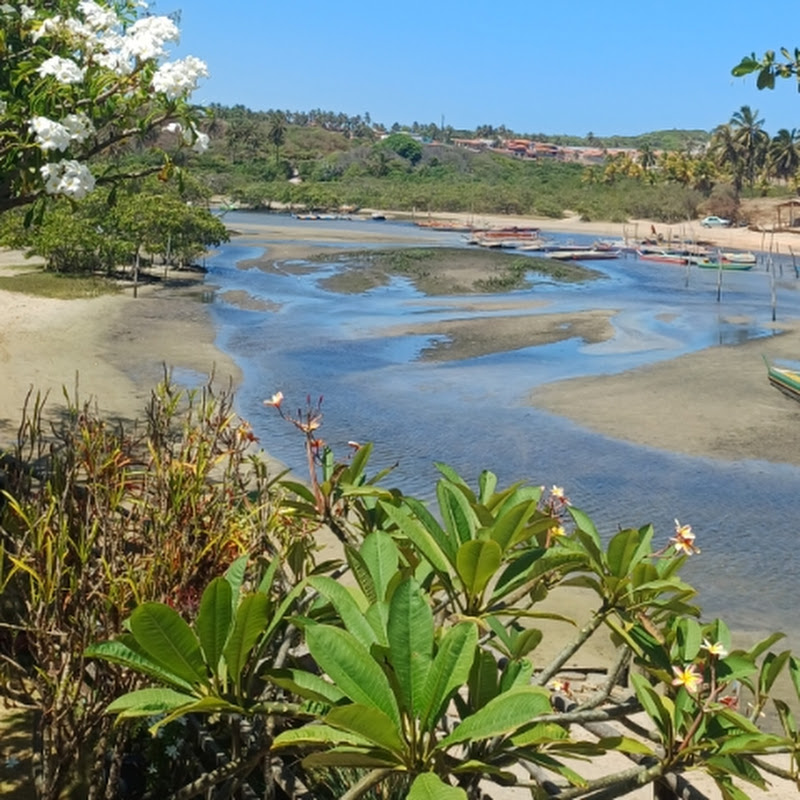 PESCA AVENTURA & TURISMO 