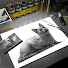 QOFFfx890wg-channel-avatar-KIMs art 
