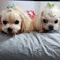 Channel Image