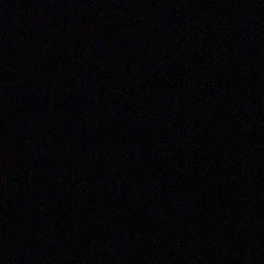 たなふそすやさな