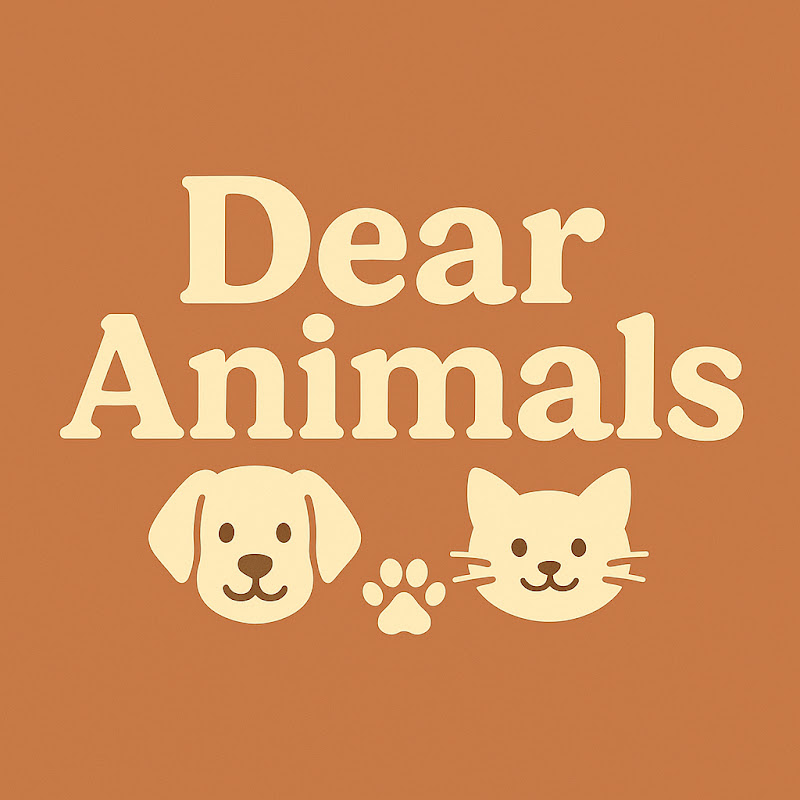 DearAnimals