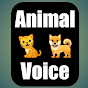Animal Voice