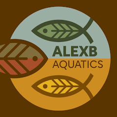 AlexB_aquatics