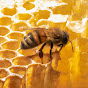 عالم النحل wael sayam