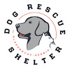 What could Dog Rescue Shelter, Serbia buy with $102.46 thousand?