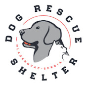 Dog Rescue Shelter, Serbia