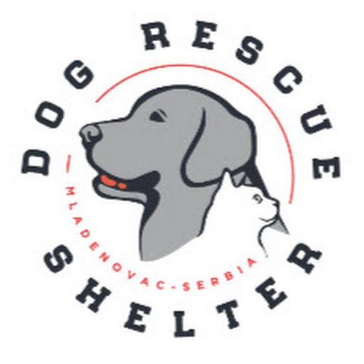 Dog Rescue Shelter, Serbia