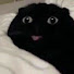 GTd0BXIyRUU-channel-avatar-◖LazyNeko◗