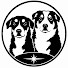 1vJRYNiBn8E-channel-avatar-Doughnut and Flash: Stardust Dogs
