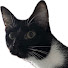FrHWTdEv_I4-channel-avatar-Michael ᓚᘏᗢ
