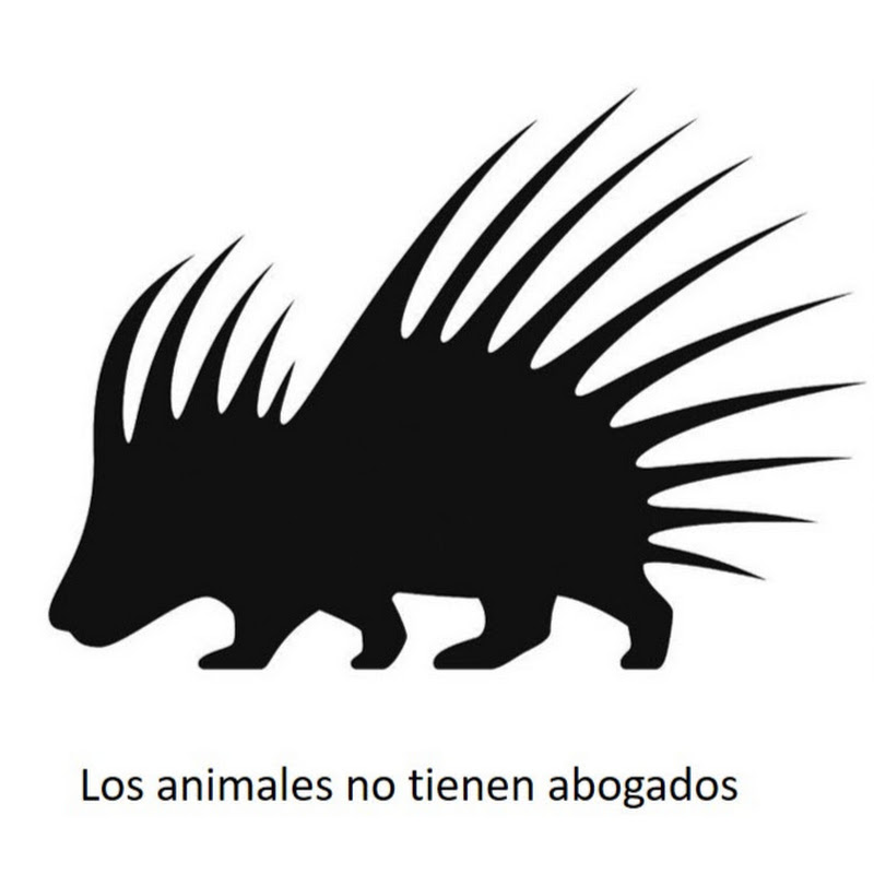 Avatar picture for FRANK CUESTA - CANAL YOUTUBE